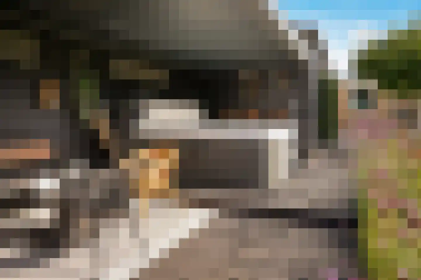Liendense Singel 39 Lienden thumbnail 6