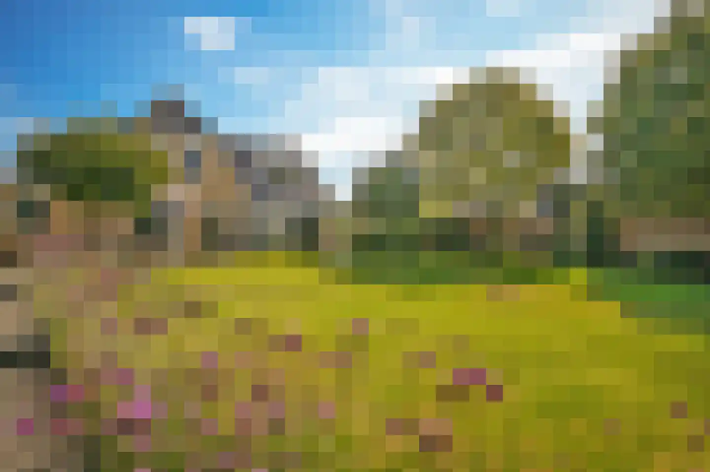 Liendense Singel 39 Lienden thumbnail 7