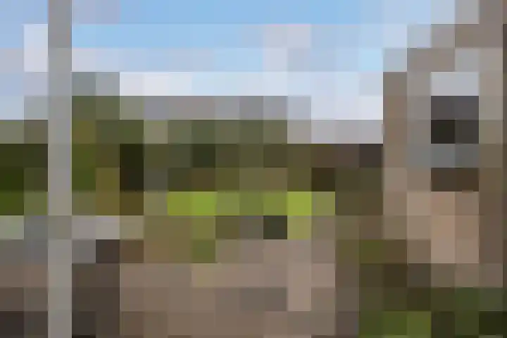 Liendertsedreef 34 Amersfoort thumbnail 16