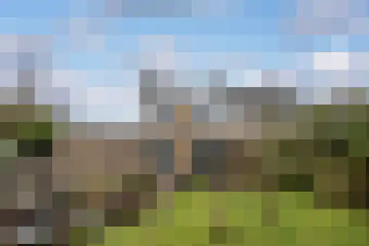 Liendertsedreef 34 Amersfoort thumbnail 18