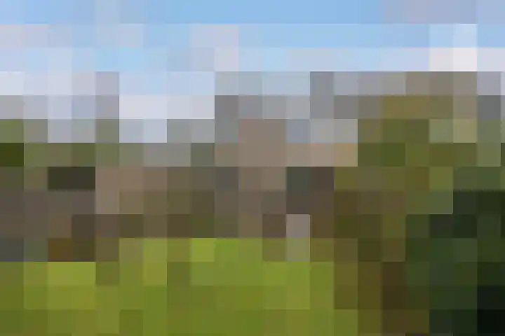 Liendertsedreef 34 Amersfoort thumbnail 19