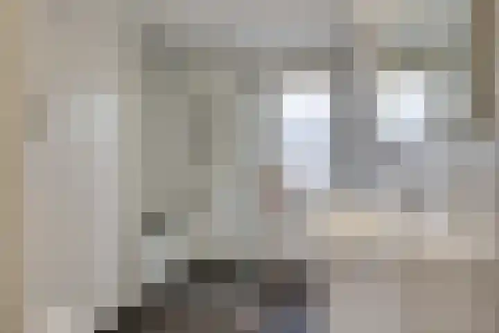 Liendertsedreef 34 Amersfoort thumbnail 27
