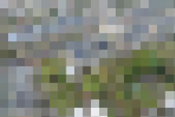 Liendertsedreef 34 Amersfoort thumbnail 39