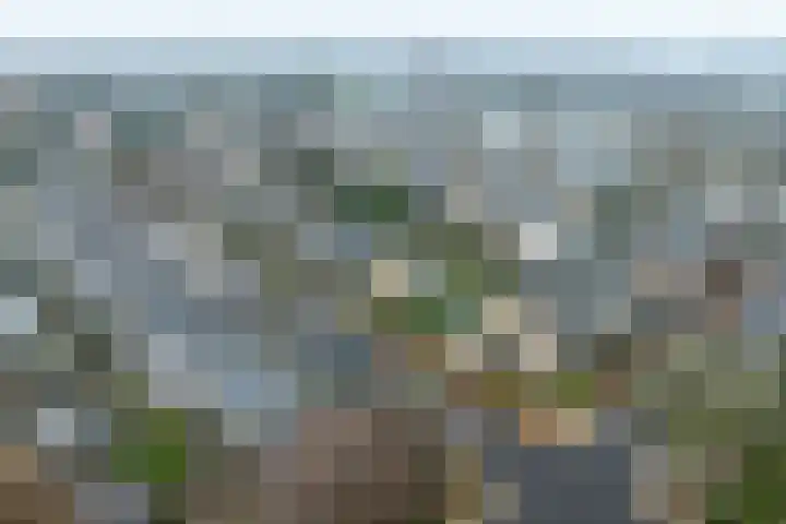 Liendertsedreef 34 Amersfoort thumbnail 41