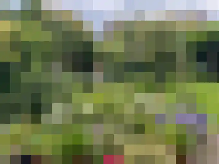 Liendertsedreef 34 Amersfoort thumbnail 43