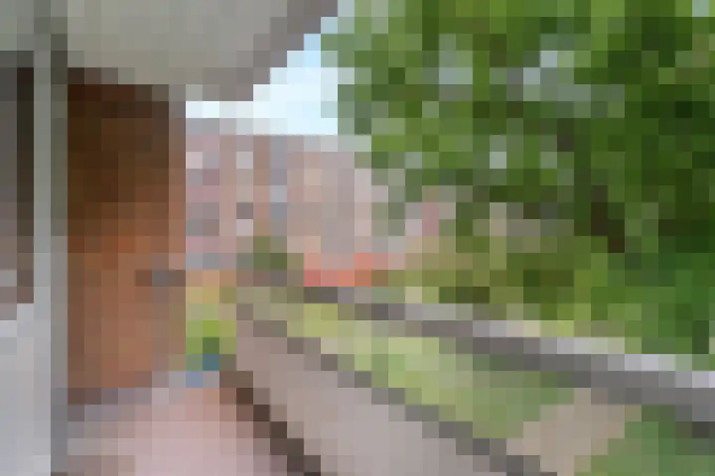 Liendertseweg 137 Amersfoort thumbnail 31