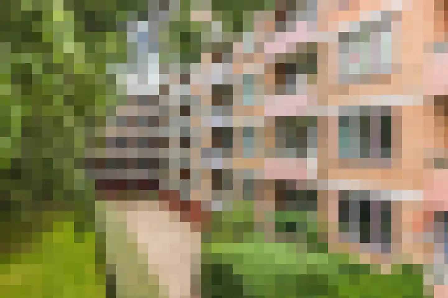 Liendertseweg 137 Amersfoort thumbnail 35
