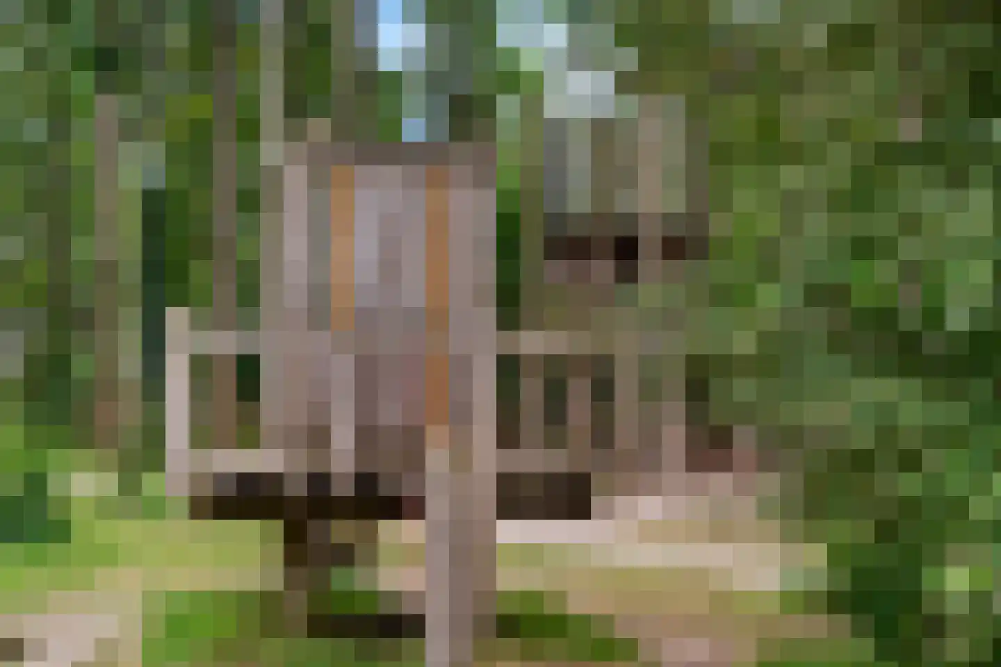 Liendertseweg 137 Amersfoort thumbnail 38