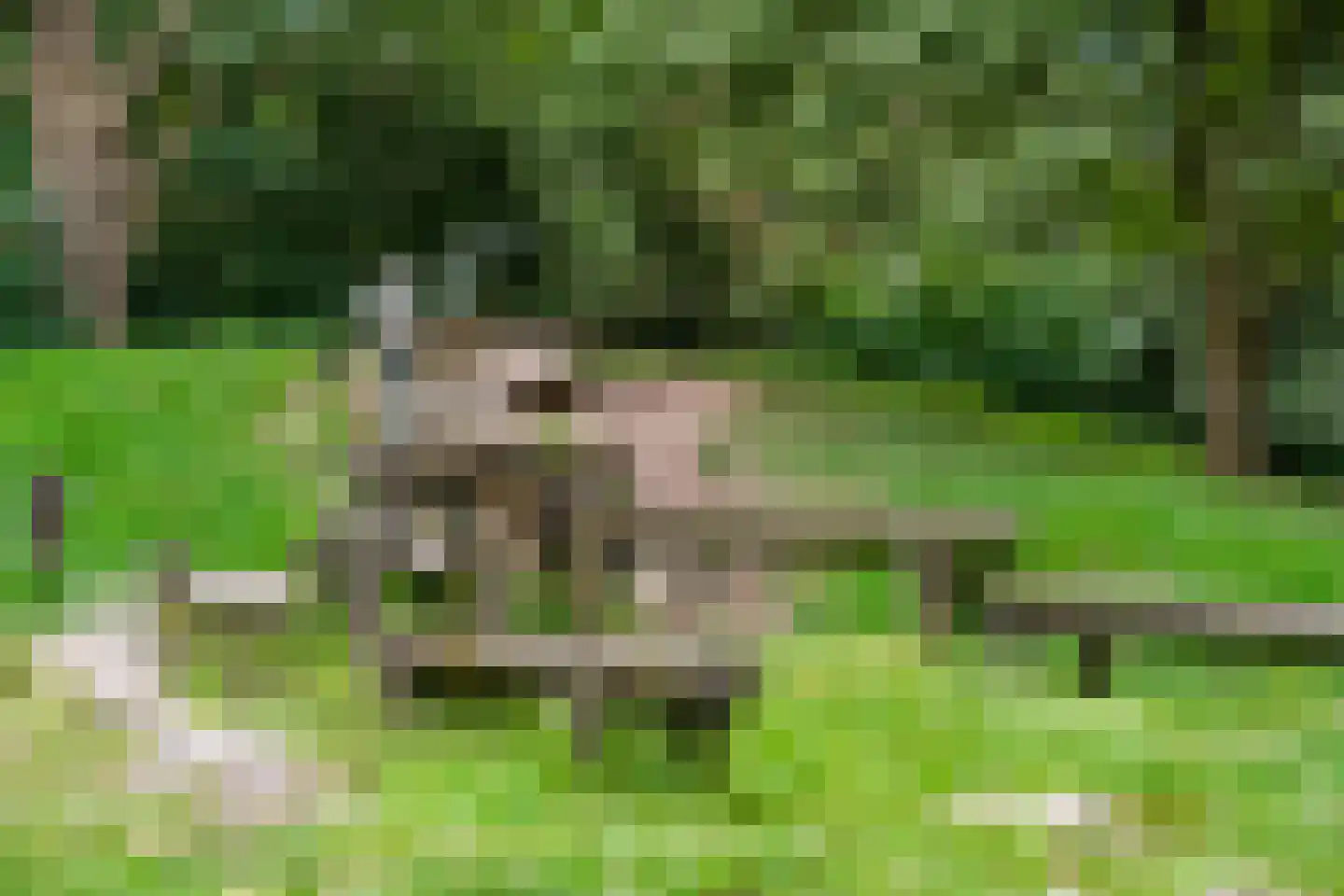 Liendertseweg 137 Amersfoort thumbnail 39