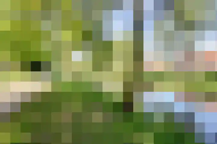 Liendertseweg 19 Amersfoort thumbnail 30