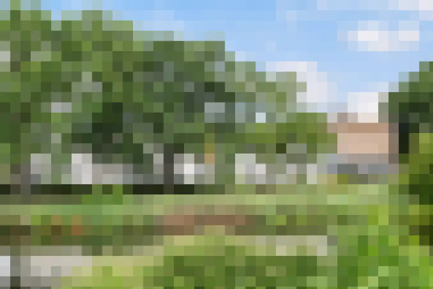 Liendertseweg 81 E Amersfoort thumbnail 22