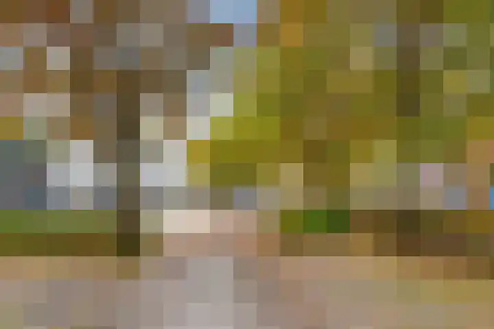 Liendertseweg 81 G Amersfoort thumbnail 34