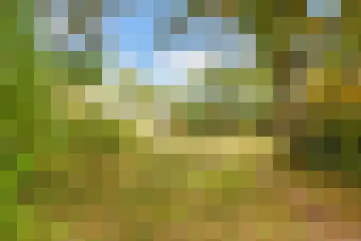 Liendertseweg 81 G Amersfoort thumbnail 37