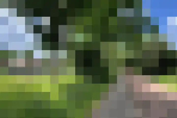 Liendertseweg 82 B Amersfoort thumbnail 31