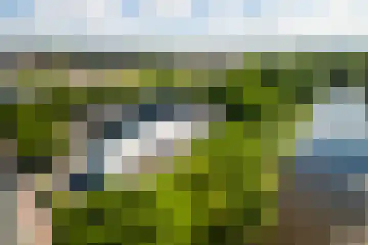 Liendertseweg 83 A Amersfoort thumbnail 23