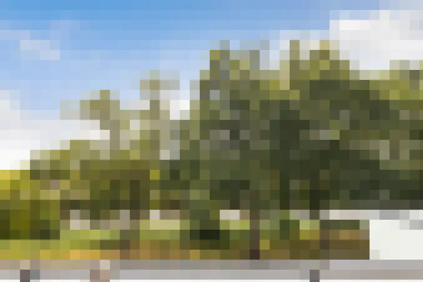 Liendertseweg 83 C Amersfoort thumbnail 32