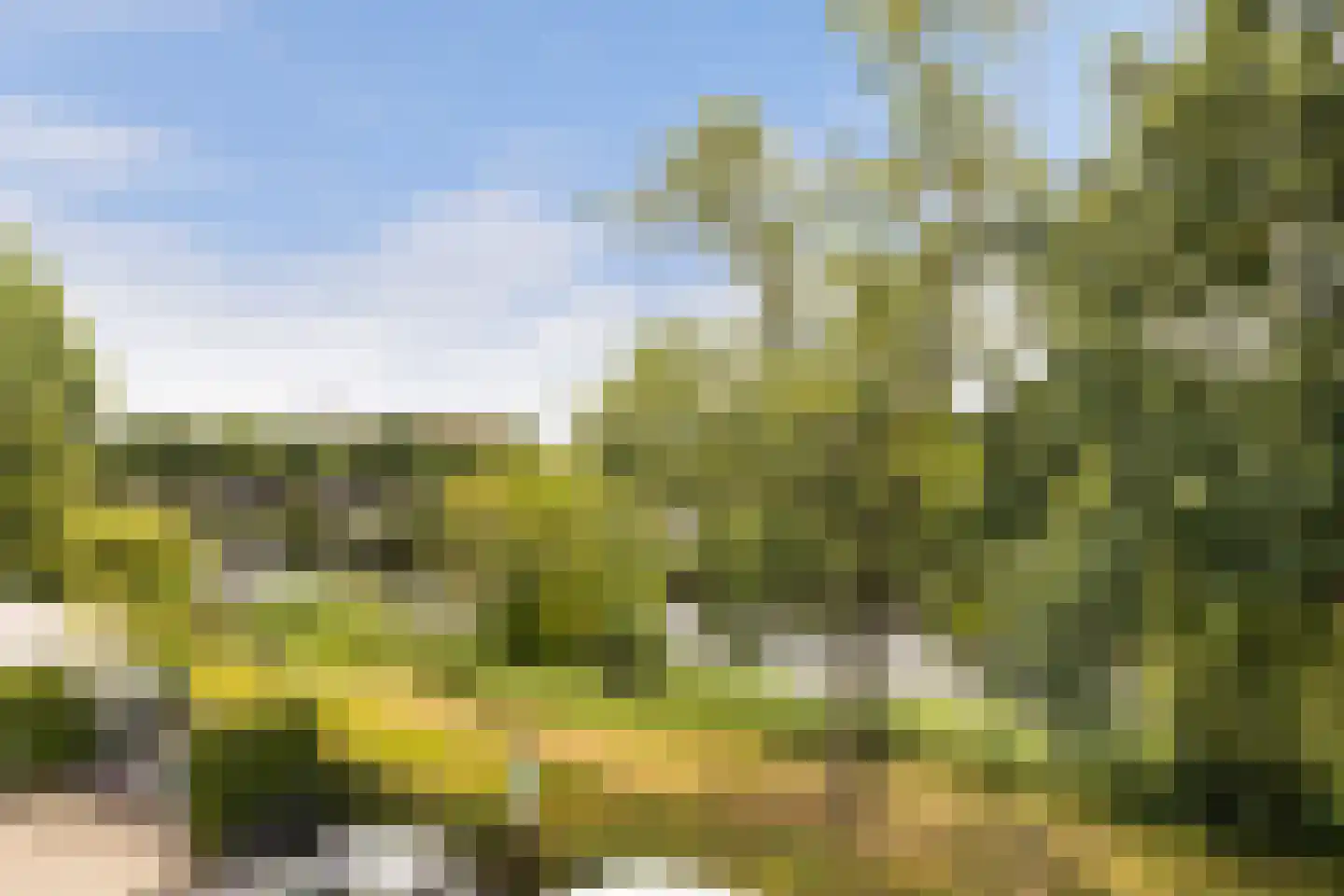 Liendertseweg 83 C Amersfoort thumbnail 33