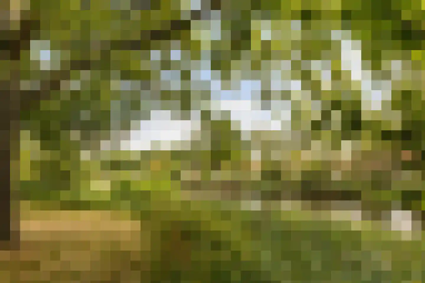 Liendertseweg 83 C Amersfoort thumbnail 35