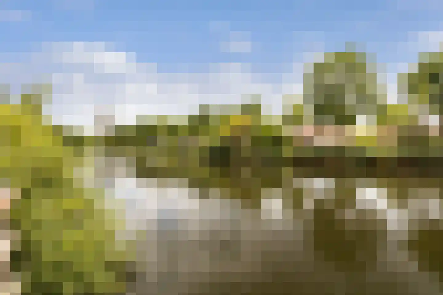 Liendertseweg 83 C Amersfoort thumbnail 37