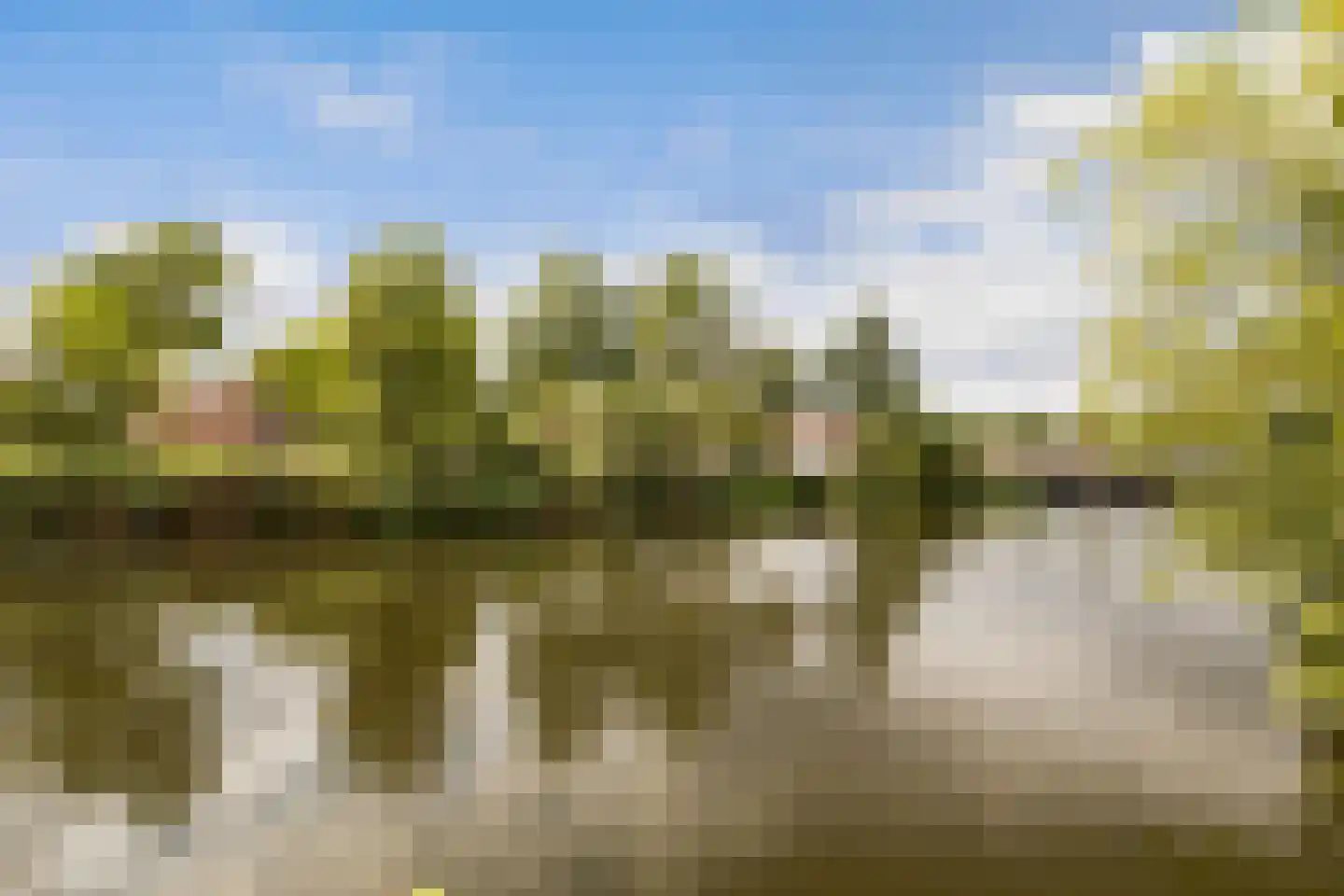 Liendertseweg 83 C Amersfoort thumbnail 38