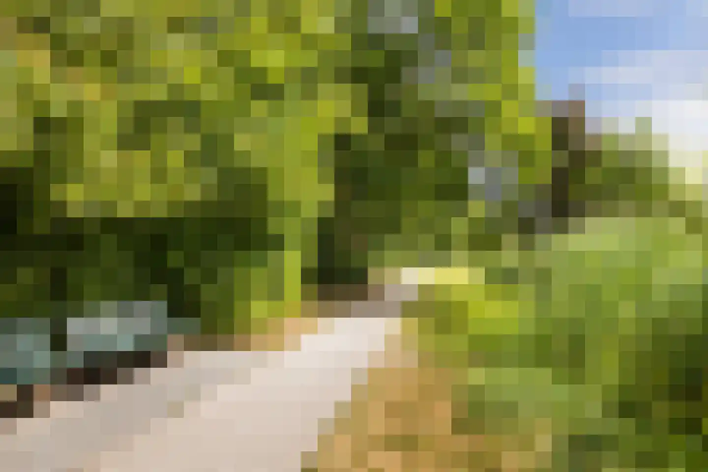 Liendertseweg 83 C Amersfoort thumbnail 39