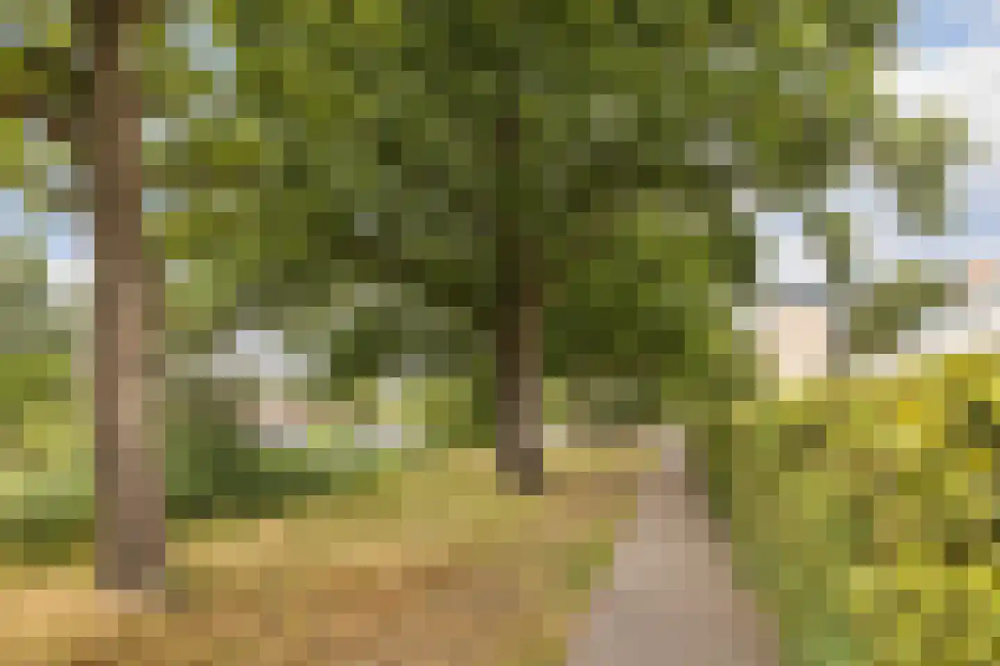 Liendertseweg 83 C Amersfoort thumbnail 40
