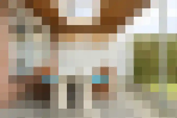 Lienderweg 39 Asten thumbnail 30
