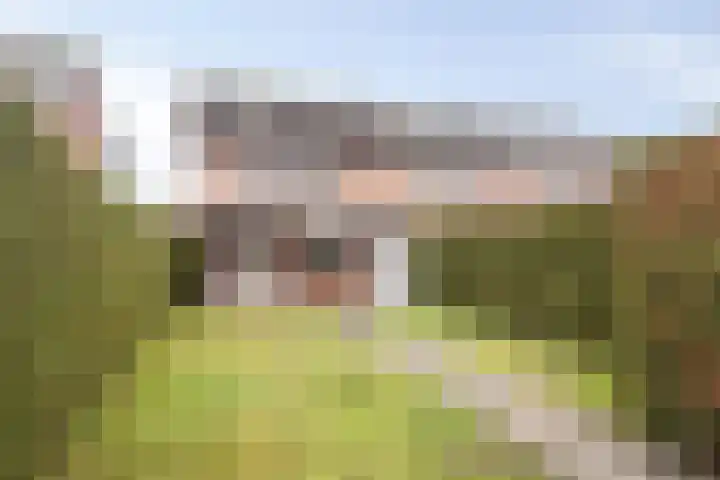 Lienderweg 39 Asten thumbnail 31