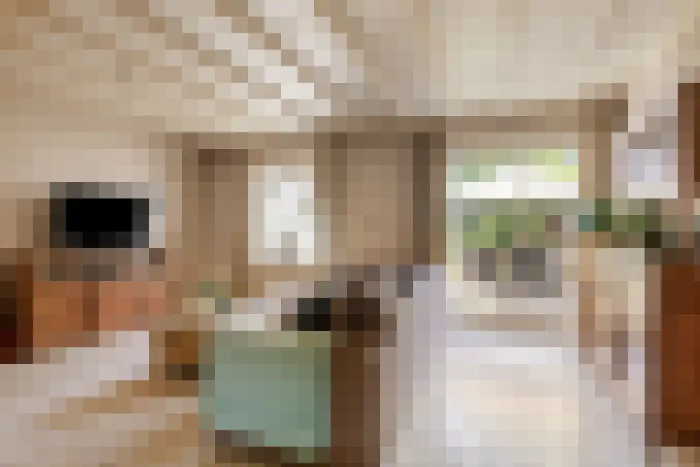 Lienderweg 81 Asten thumbnail 13
