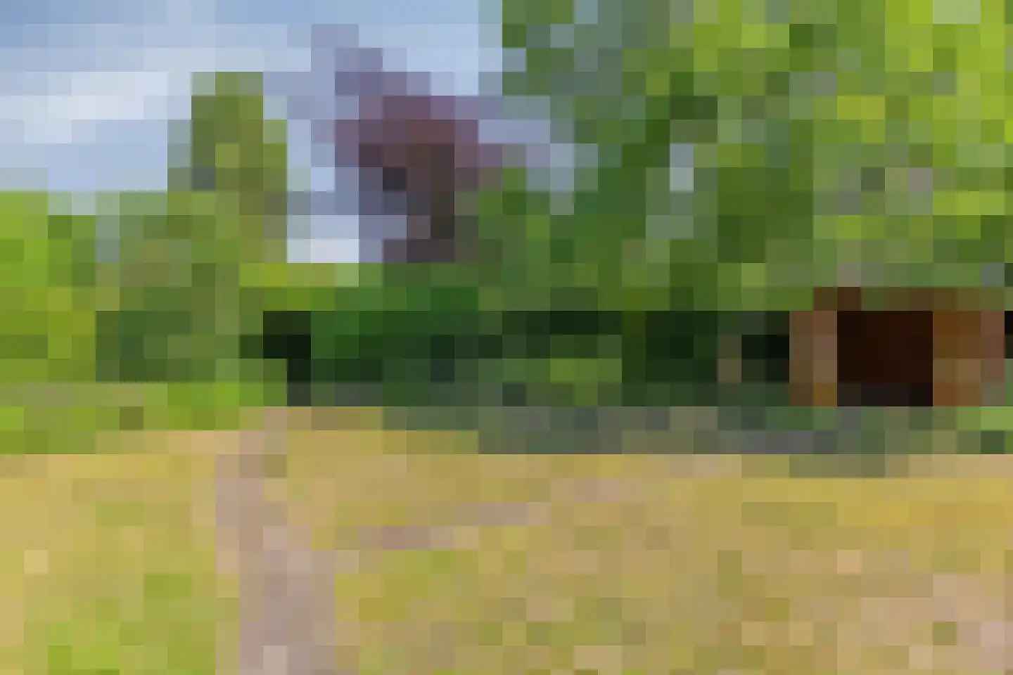Lienderweg 81 Asten thumbnail 32