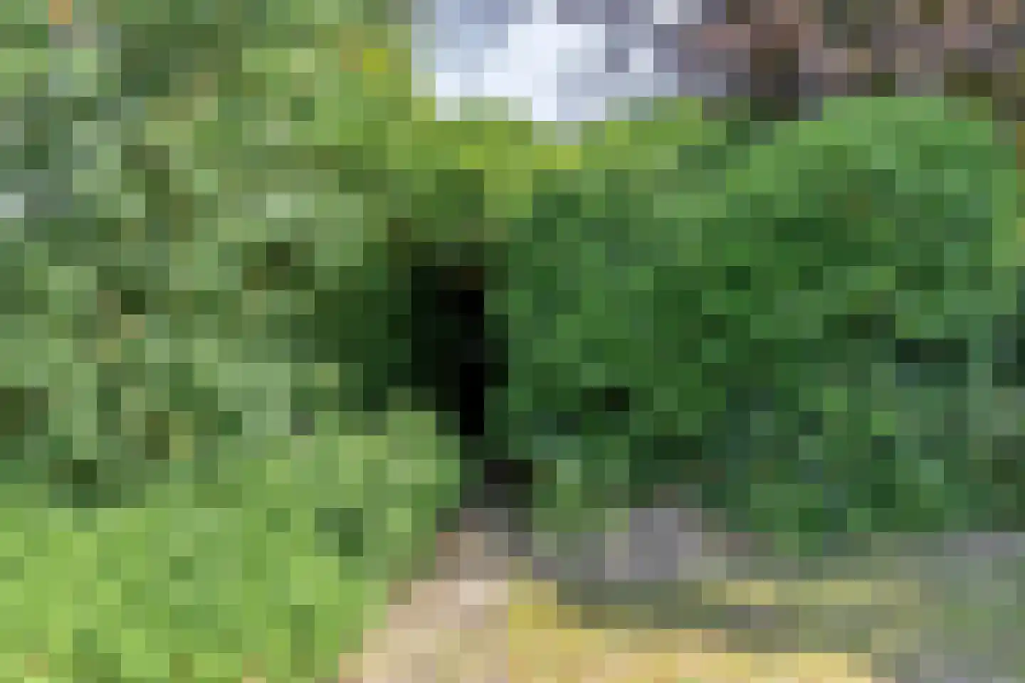 Lienderweg 81 Asten thumbnail 34