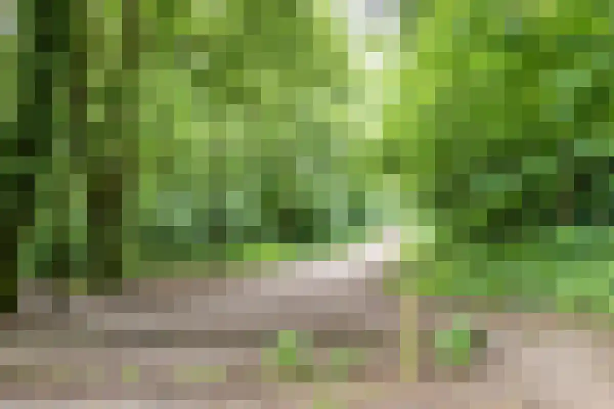 Lienderweg 81 Asten thumbnail 40