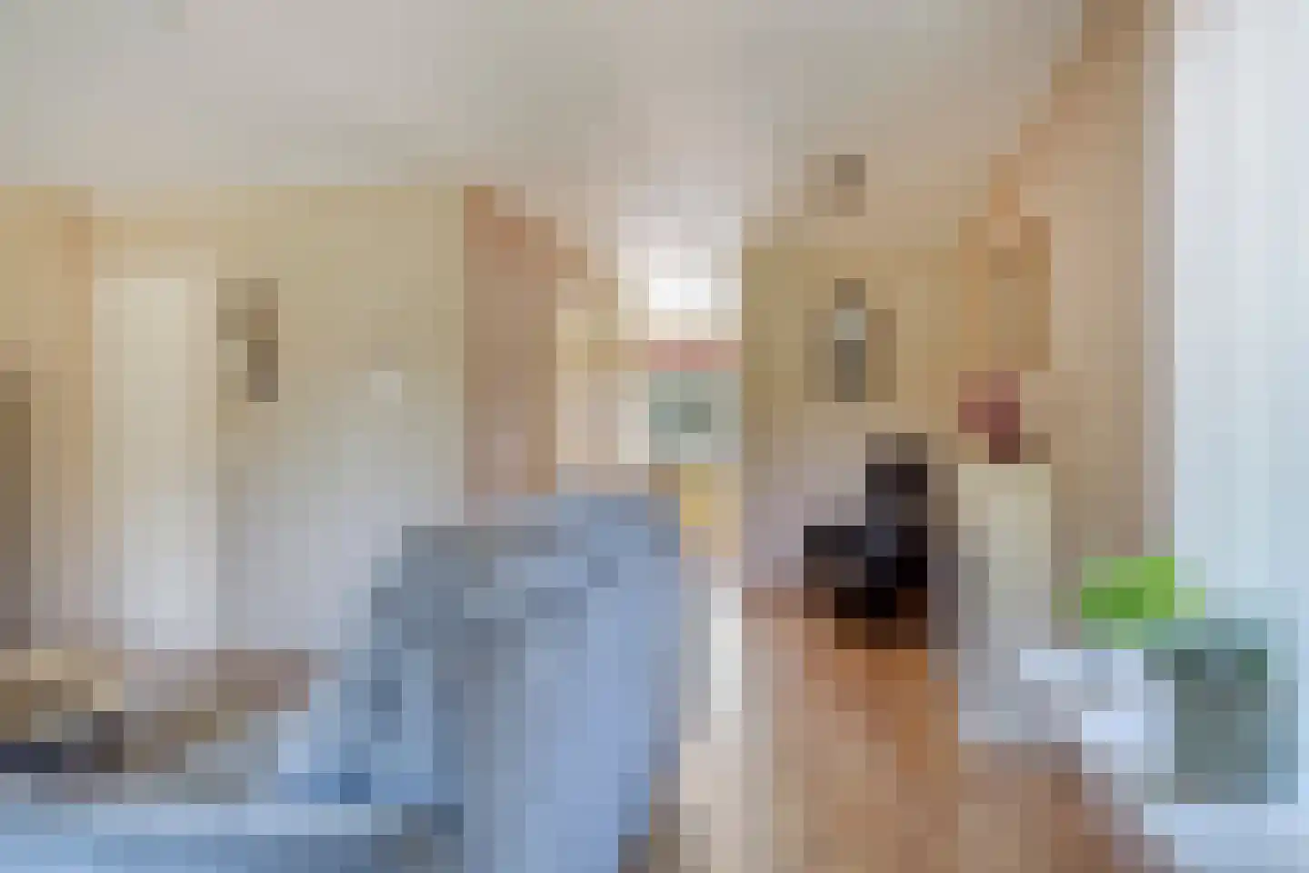 Lienkamp 8 Ruinerwold thumbnail 12