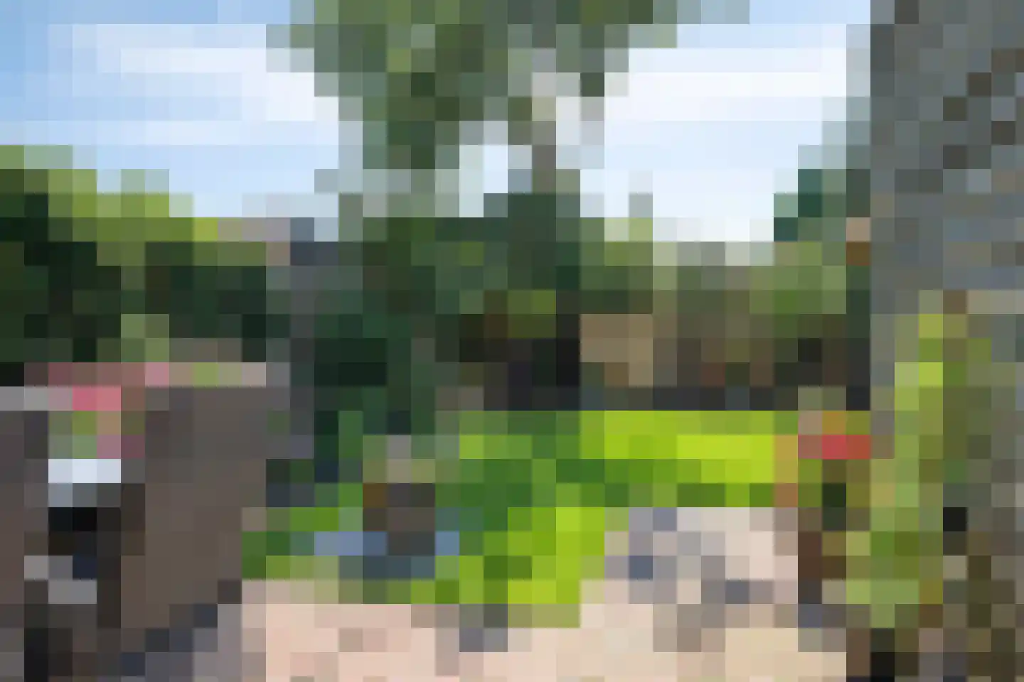 Lienkamp 8 Ruinerwold thumbnail 28