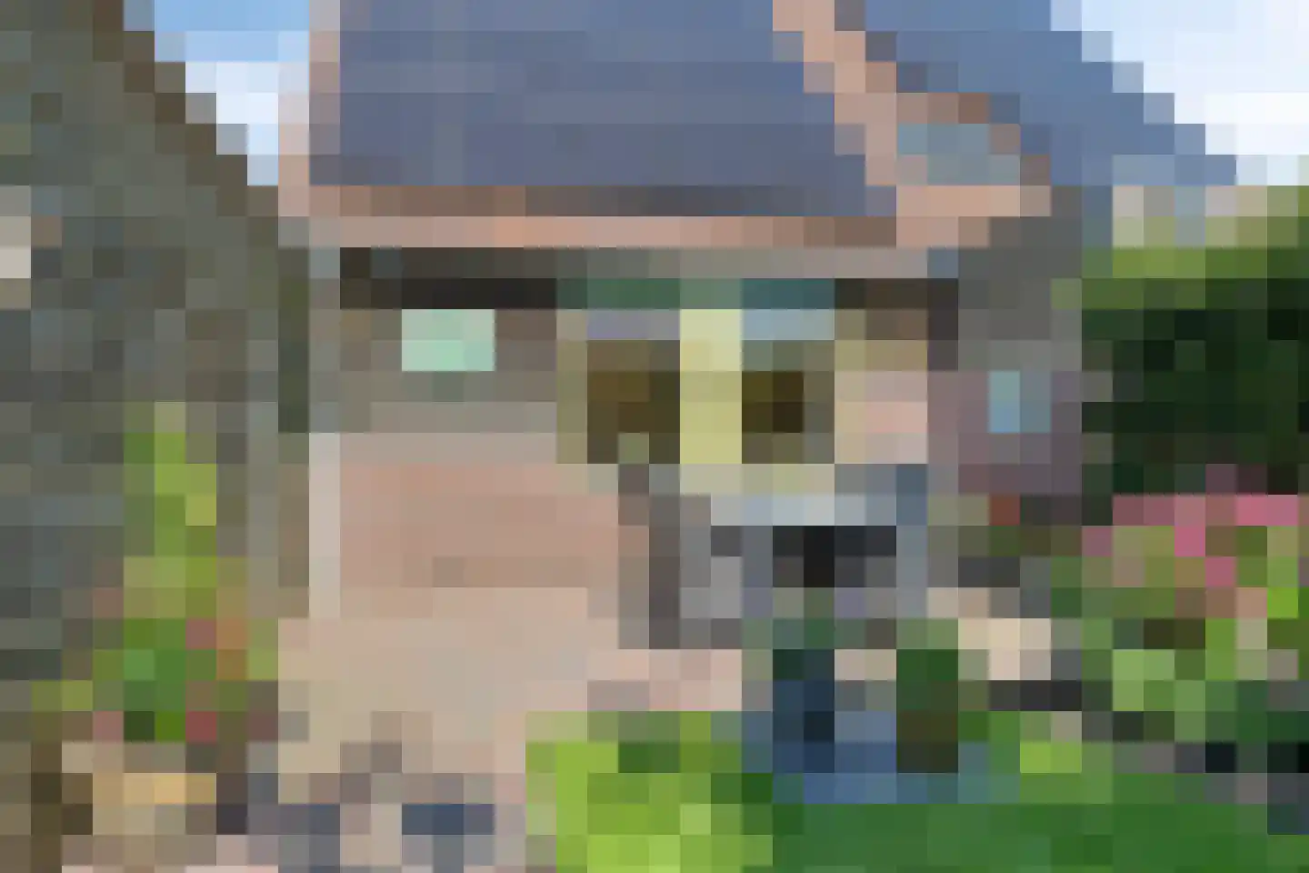 Lienkamp 8 Ruinerwold thumbnail 29