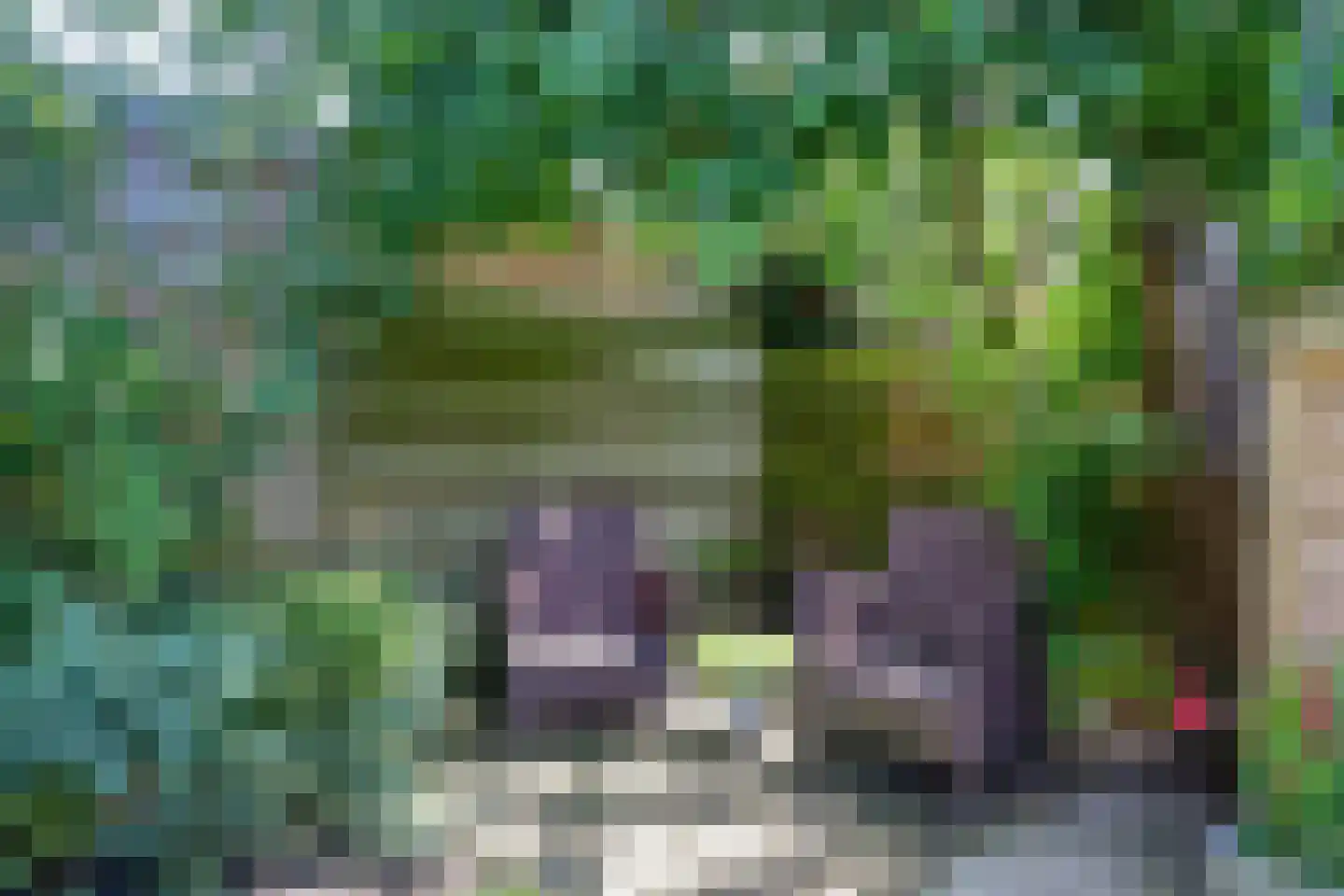 Lienkamp 8 Ruinerwold thumbnail 31
