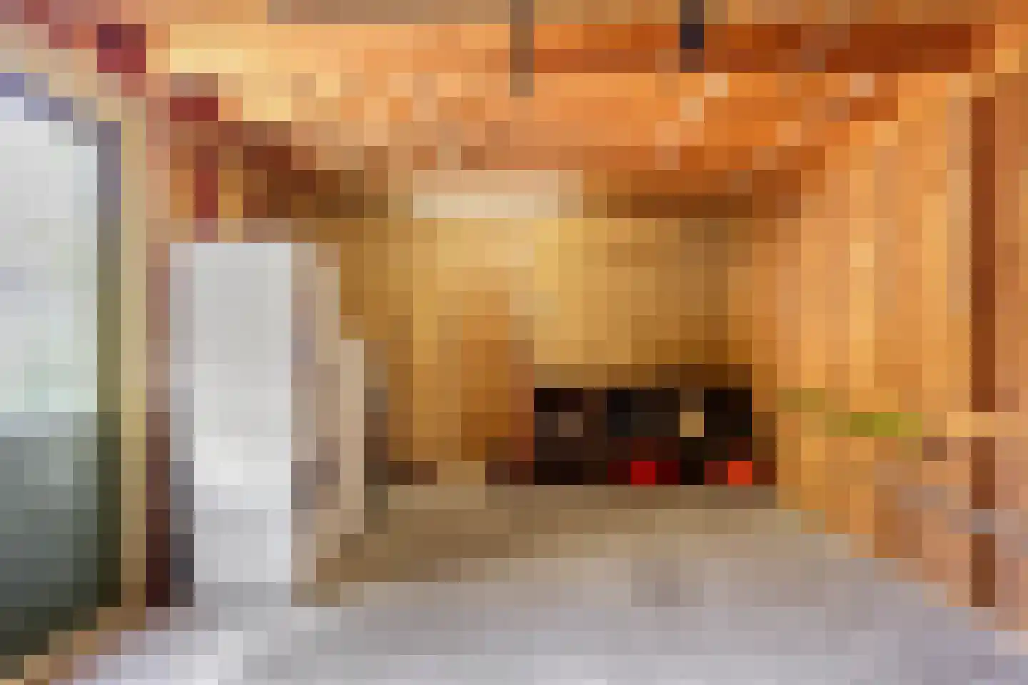 Lienkamp 8 Ruinerwold thumbnail 34