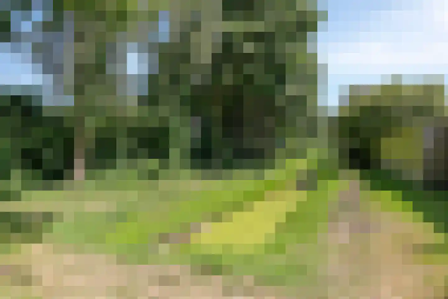 Lienkamp 8 Ruinerwold thumbnail 36