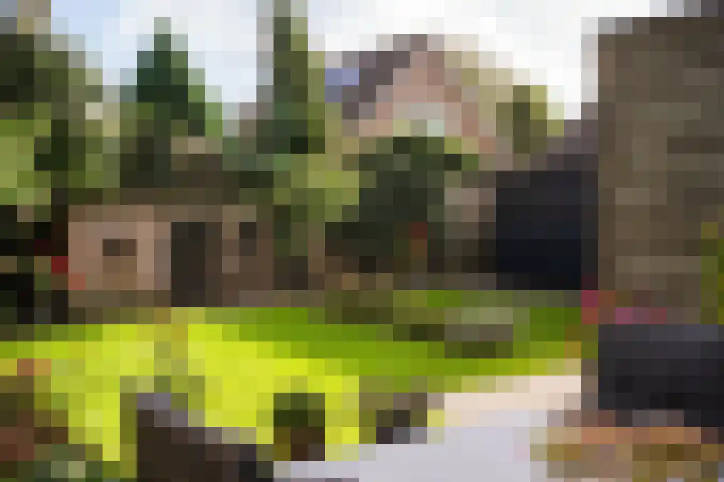Lienkamp 8 Ruinerwold thumbnail 4
