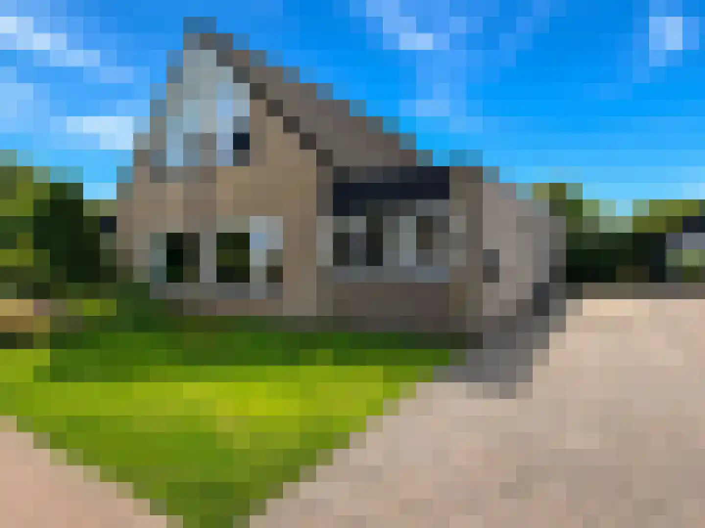 Lienstukken 22 Grolloo