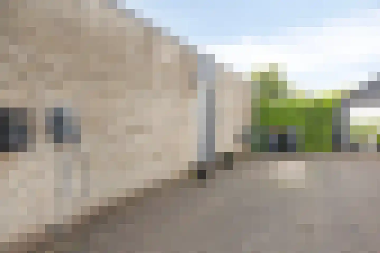 Lienstukken 22 Grolloo thumbnail 11