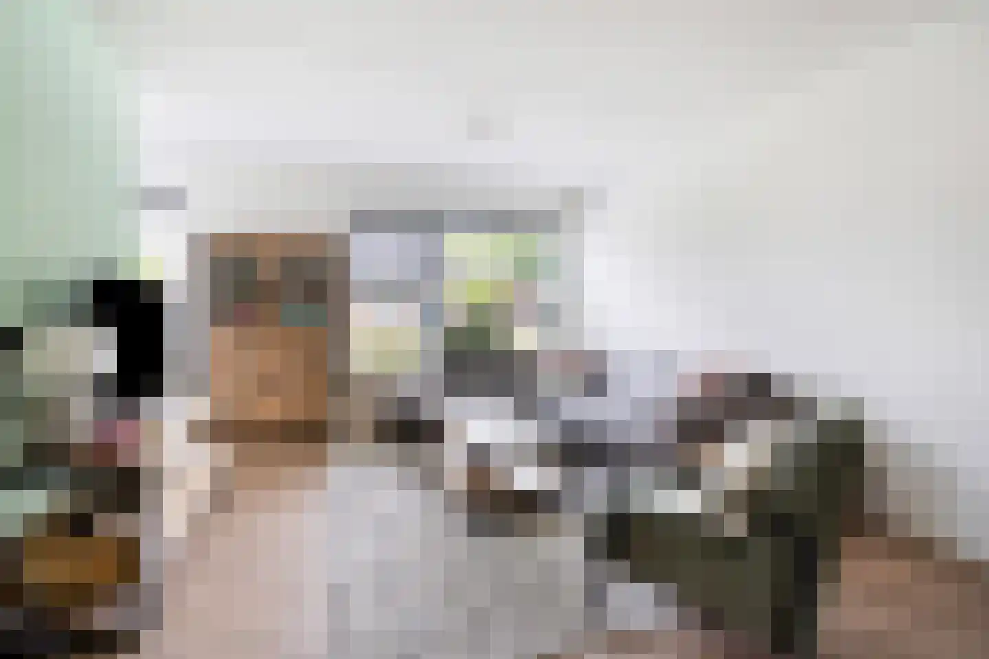 Lienstukken 22 Grolloo thumbnail 17