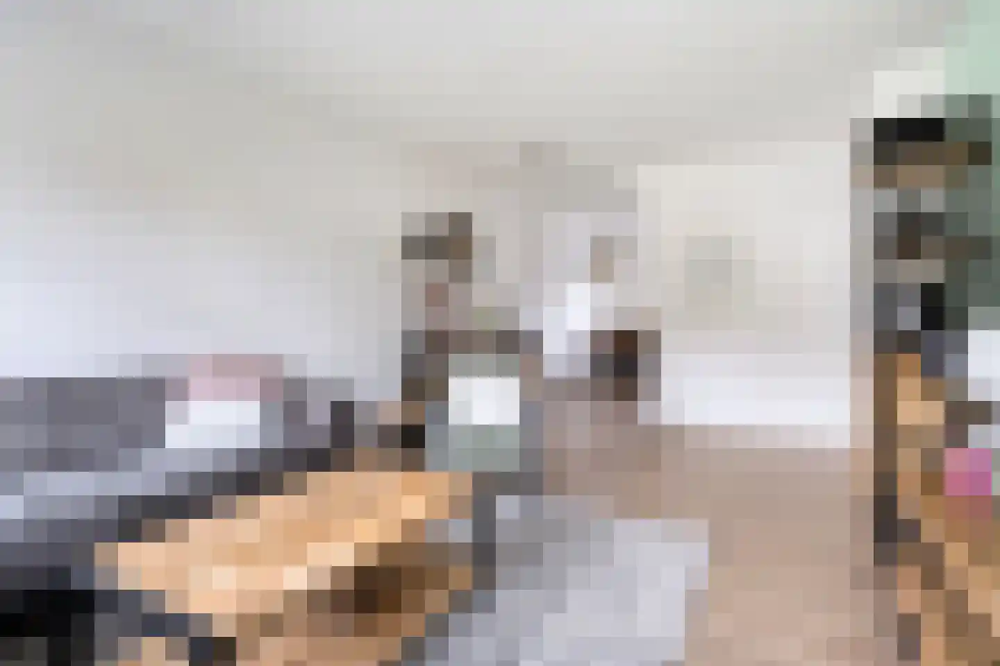 Lienstukken 22 Grolloo thumbnail 19