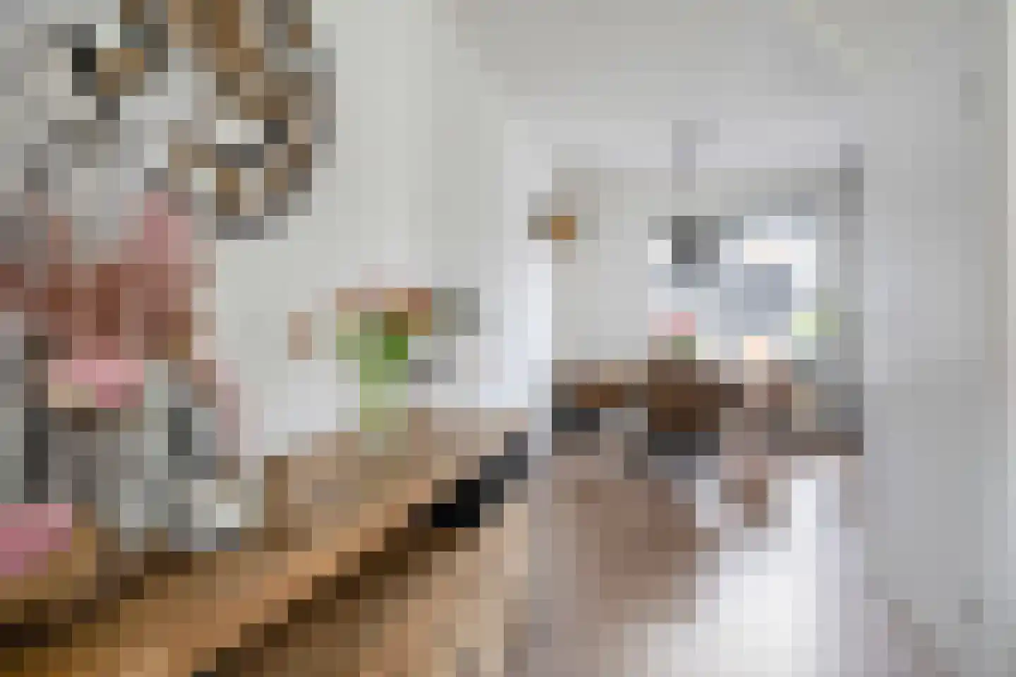 Lienstukken 22 Grolloo thumbnail 21