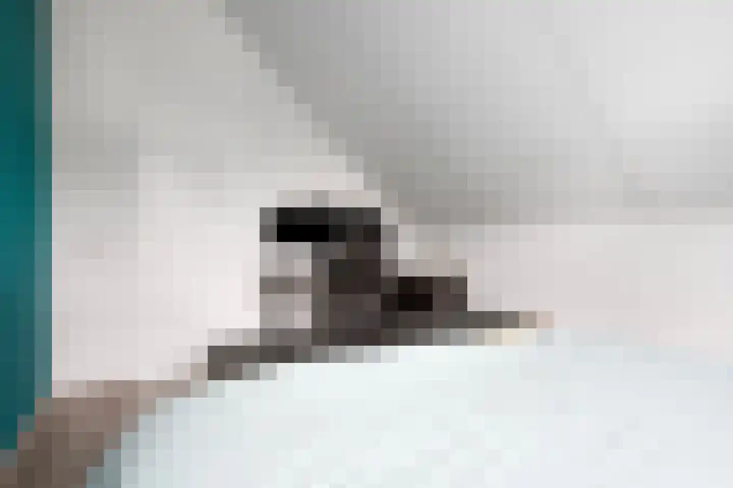 Lienstukken 22 Grolloo thumbnail 33