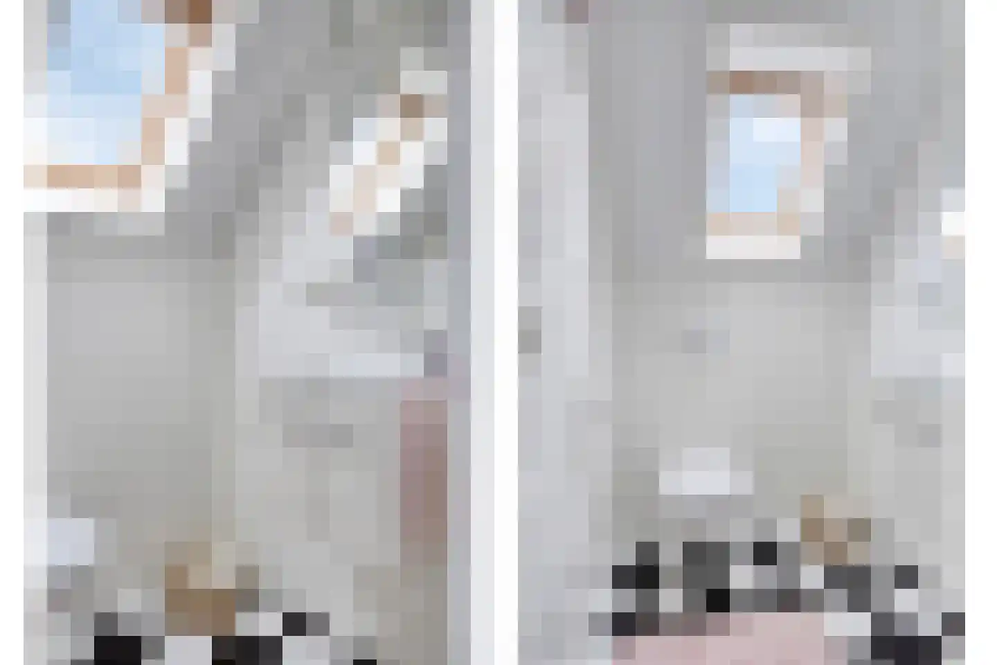 Lienstukken 22 Grolloo thumbnail 36