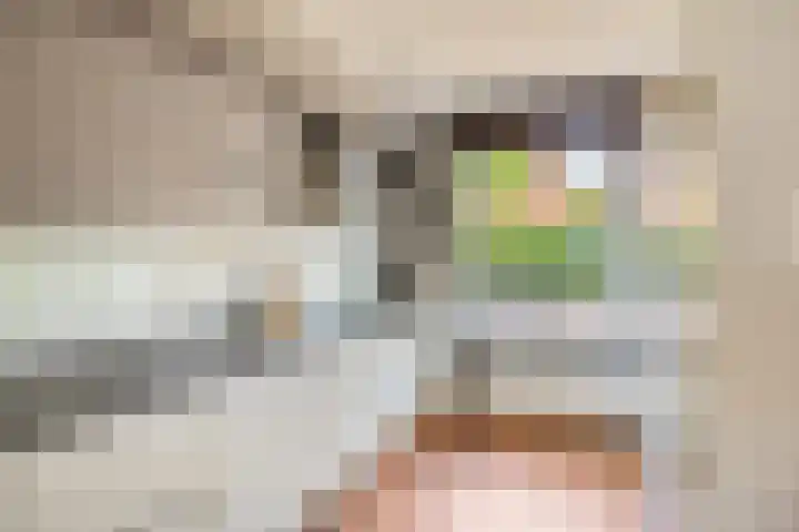Lient 131 Hooglanderveen thumbnail 10