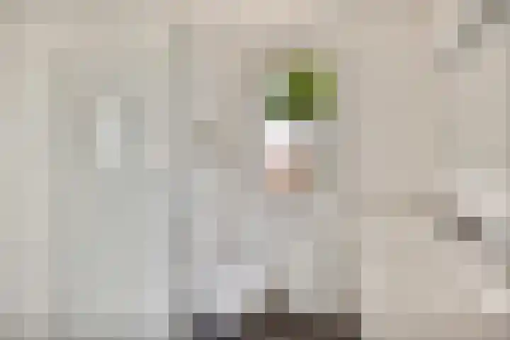 Lient 131 Hooglanderveen thumbnail 16