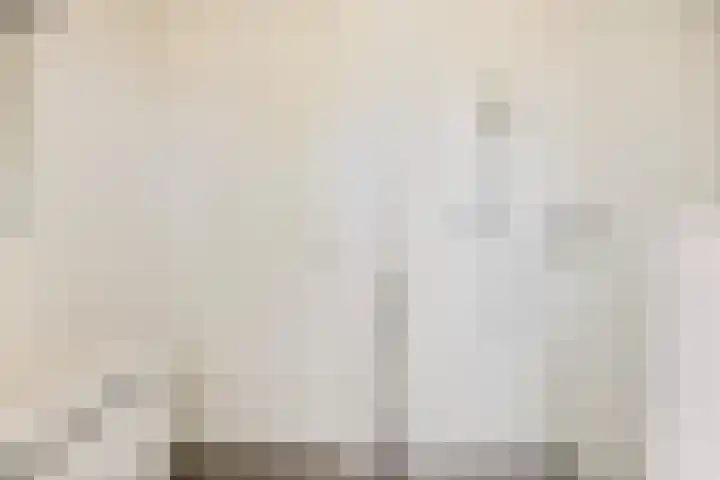 Lient 131 Hooglanderveen thumbnail 17