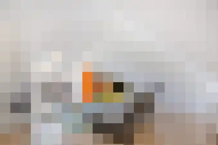 Lient 131 Hooglanderveen thumbnail 19